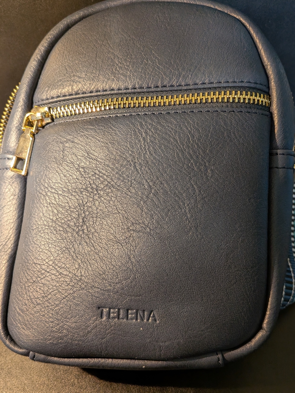 TelenA Navy Mini Crossbody Bag with Gold Hardware